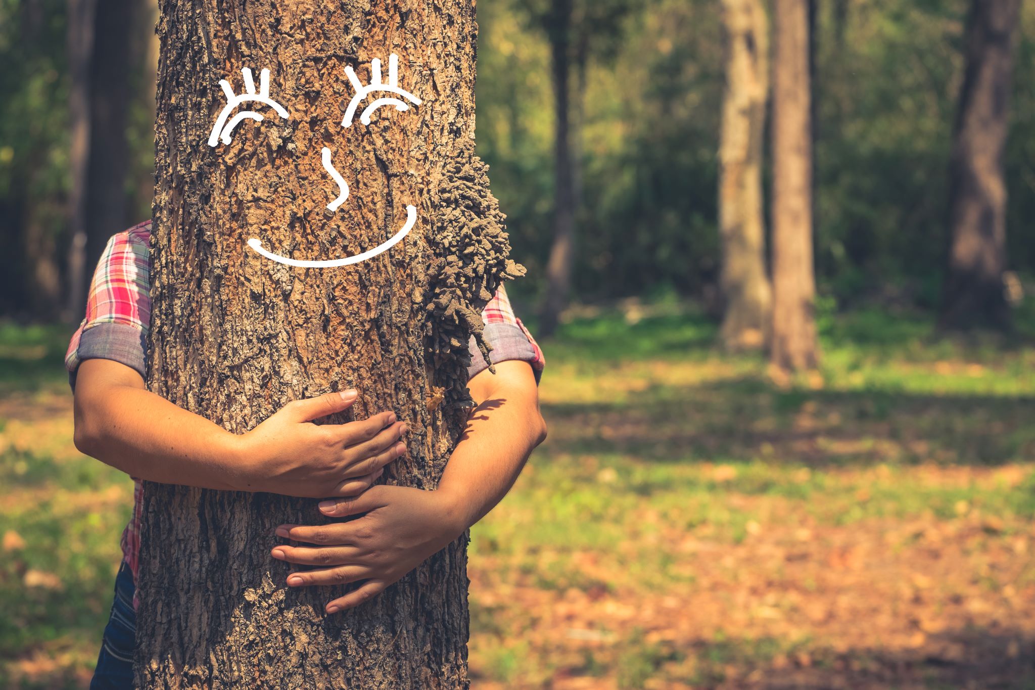 person hugging a tree with a smiley face imposed on tree